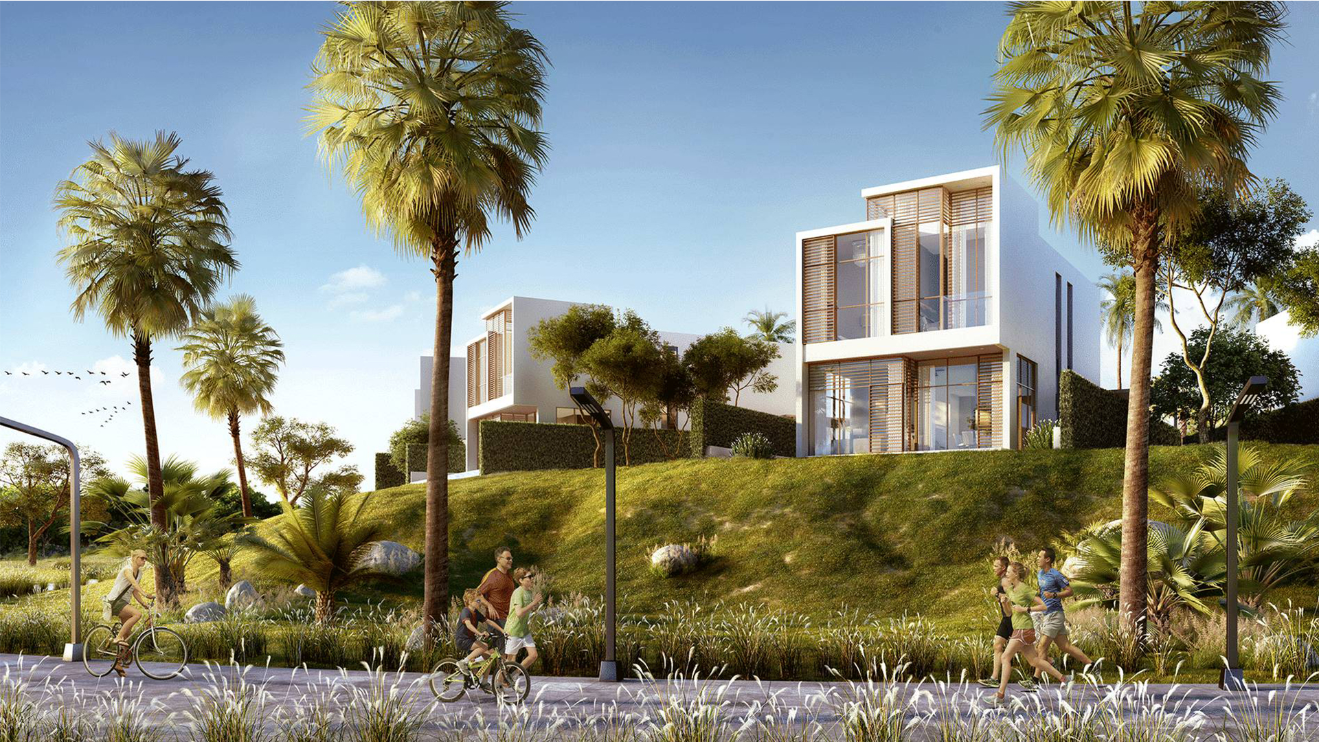 Things to Do in Paloverde