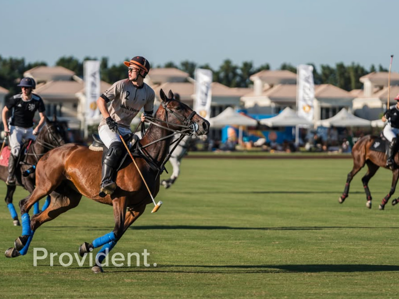 property image - Provident Estate