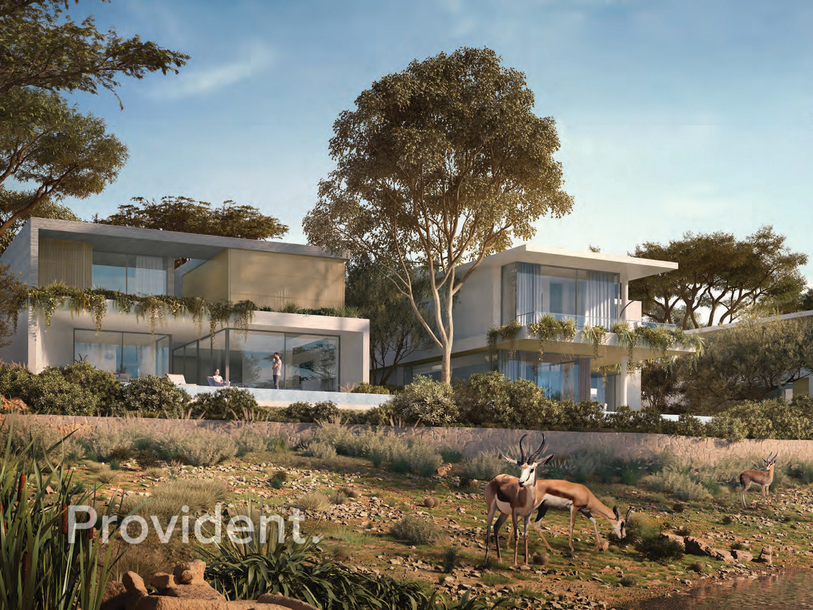 property image - Provident Estate